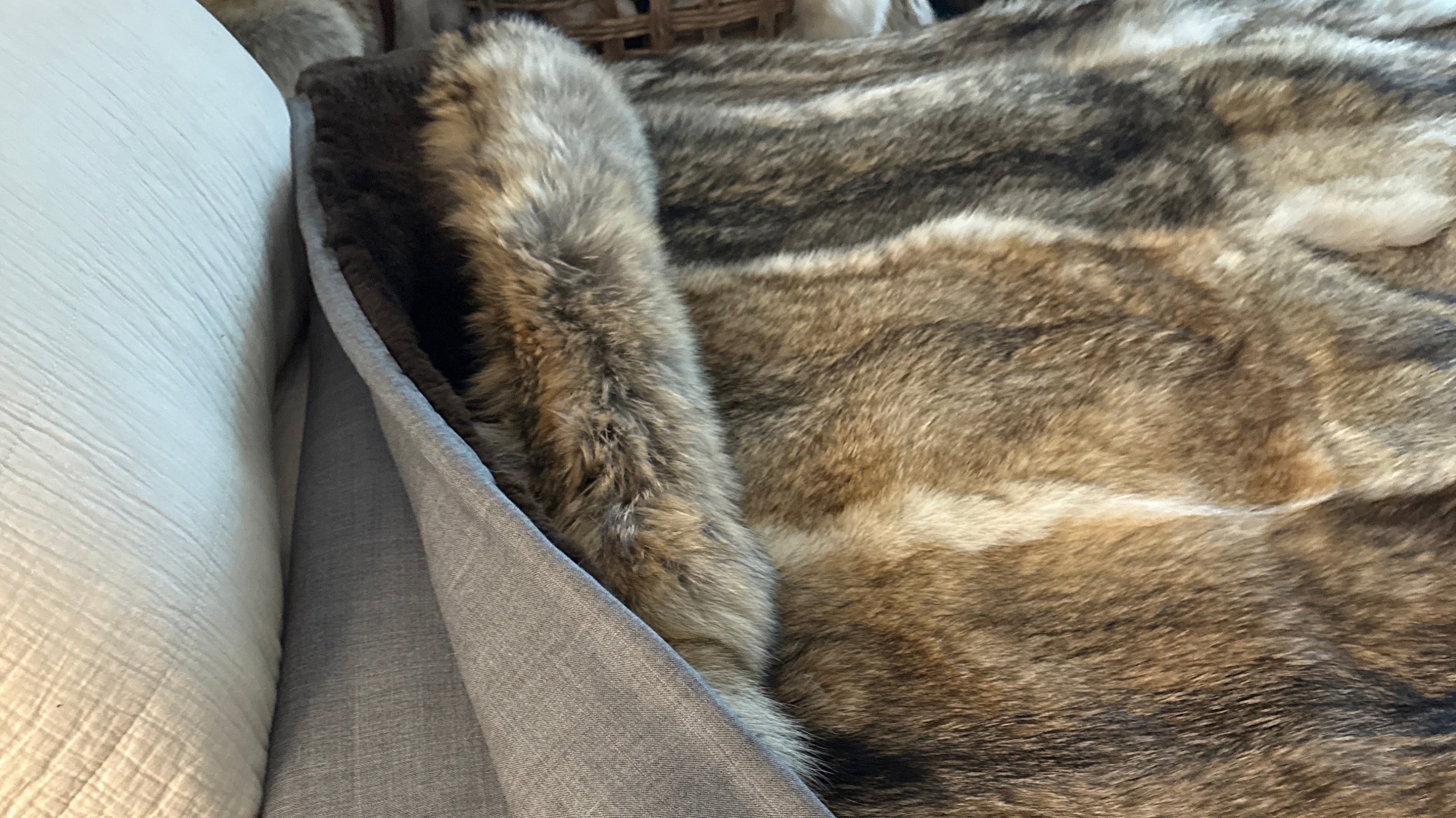 Beaver and Coyote at its best - Twin Size Blanket made from whole pelts with a worsted Wool backing and double layers of wool batting for extra warmth