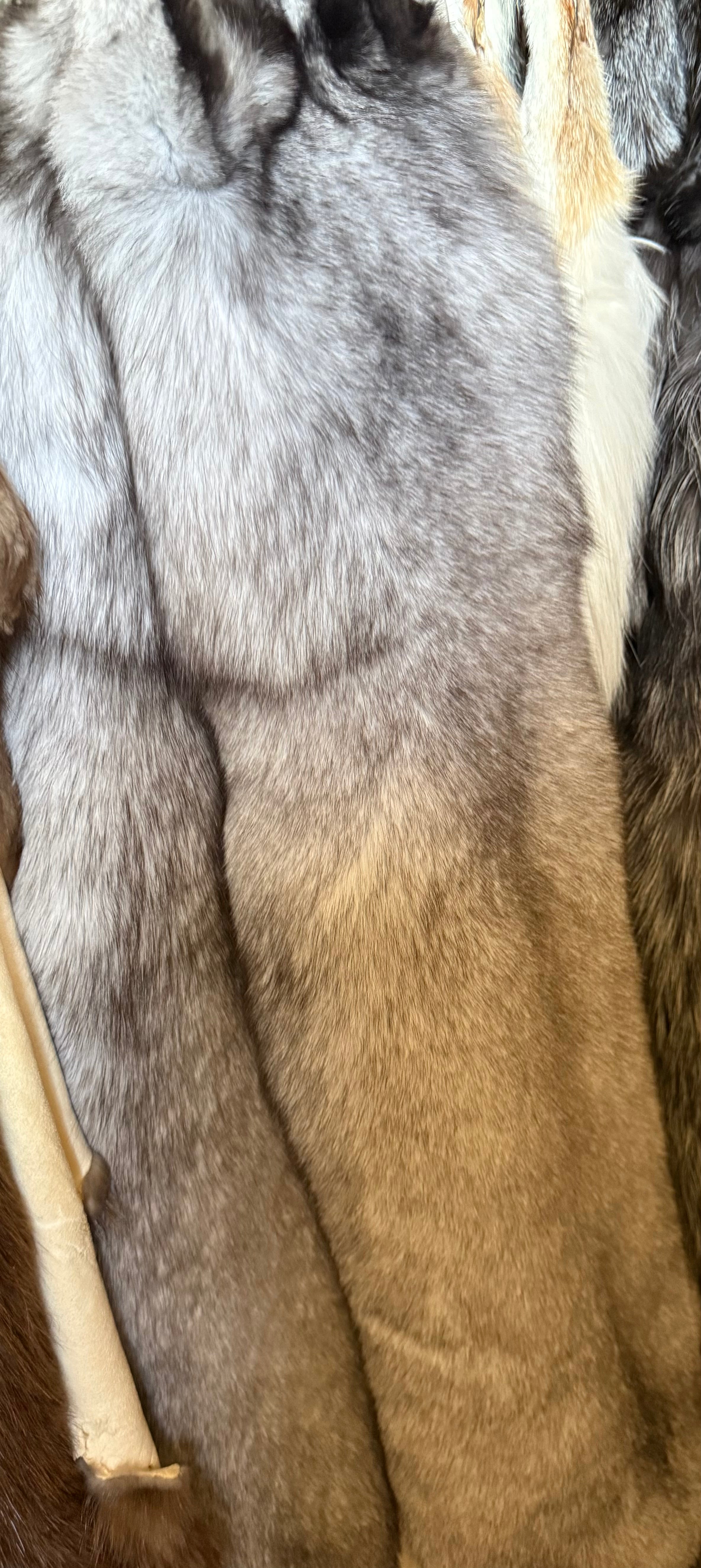 Blue Fox - Pelt