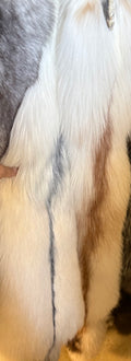 Ranch Arctic Marble Fox