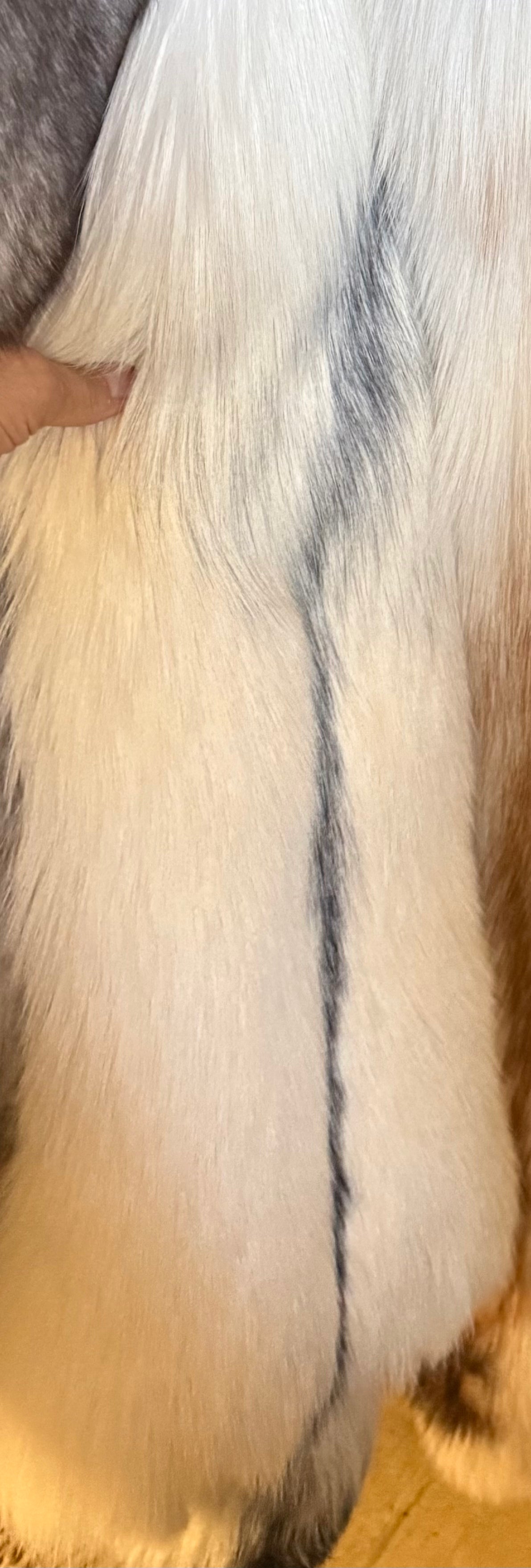Ranch Arctic Marble Fox