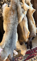 Western Wild Grey Fox - Pelt
