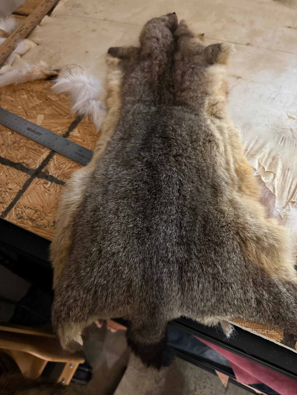 Australian Opossum - Split Pelt