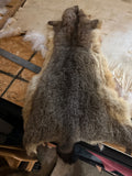 Australian Opossum - Split Pelt